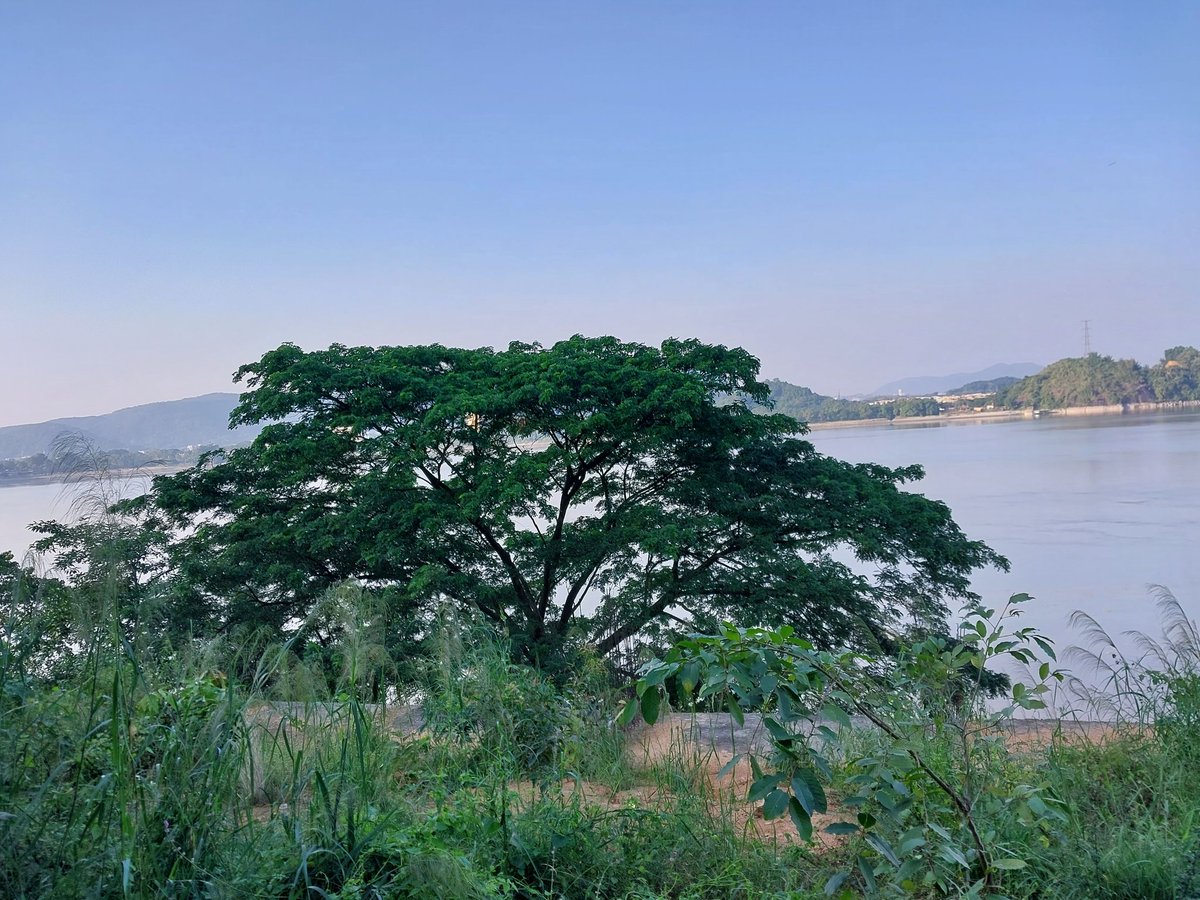 iAM_AzarAliShek's tweet photo. গুৱাহাটী #Assam https://t.co/KP67k069u7