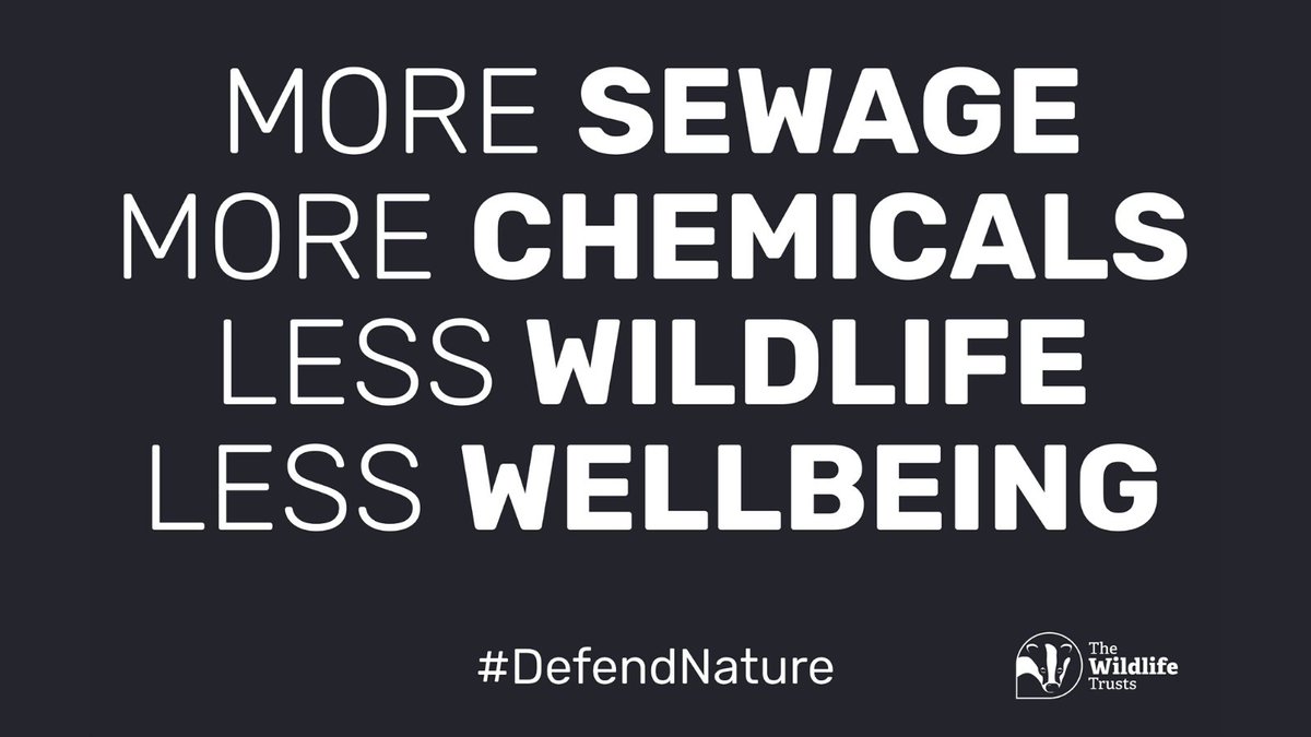 Recent announcements are threatening our wildlife and wild spaces which are vital for thriving communities! 💔 Let your MP know we won’t stand for the #AttackOnNature by delivering your message straight to their door! 👇 wildlifetrusts.org/defend-nature-…
