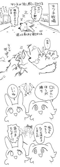 北海道の日記です 〜キツネ編〜 