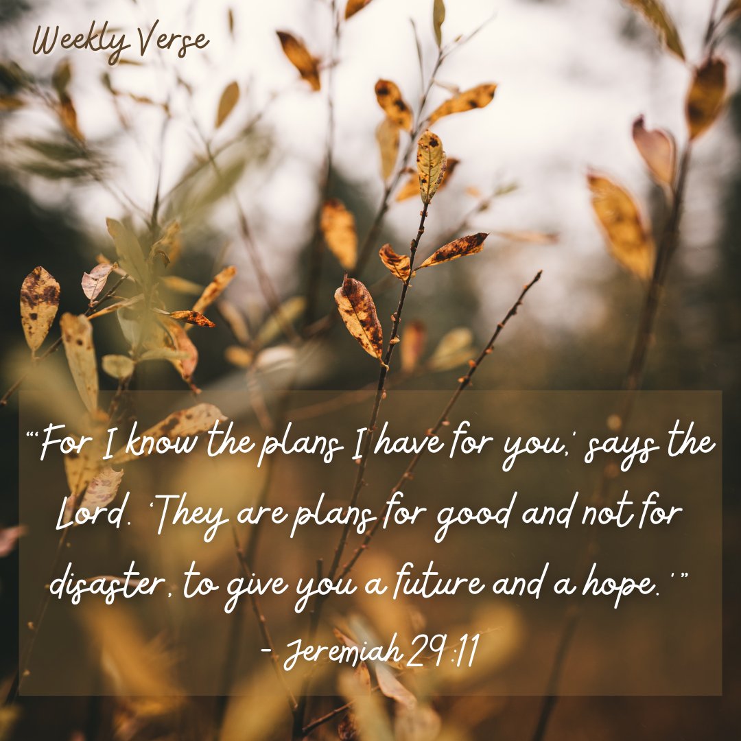 Receive the weekly verse right to your phone to begin each week with encouragement!
Text VERSE to 905-335-8172 to sign up.
#WeeklyVerse