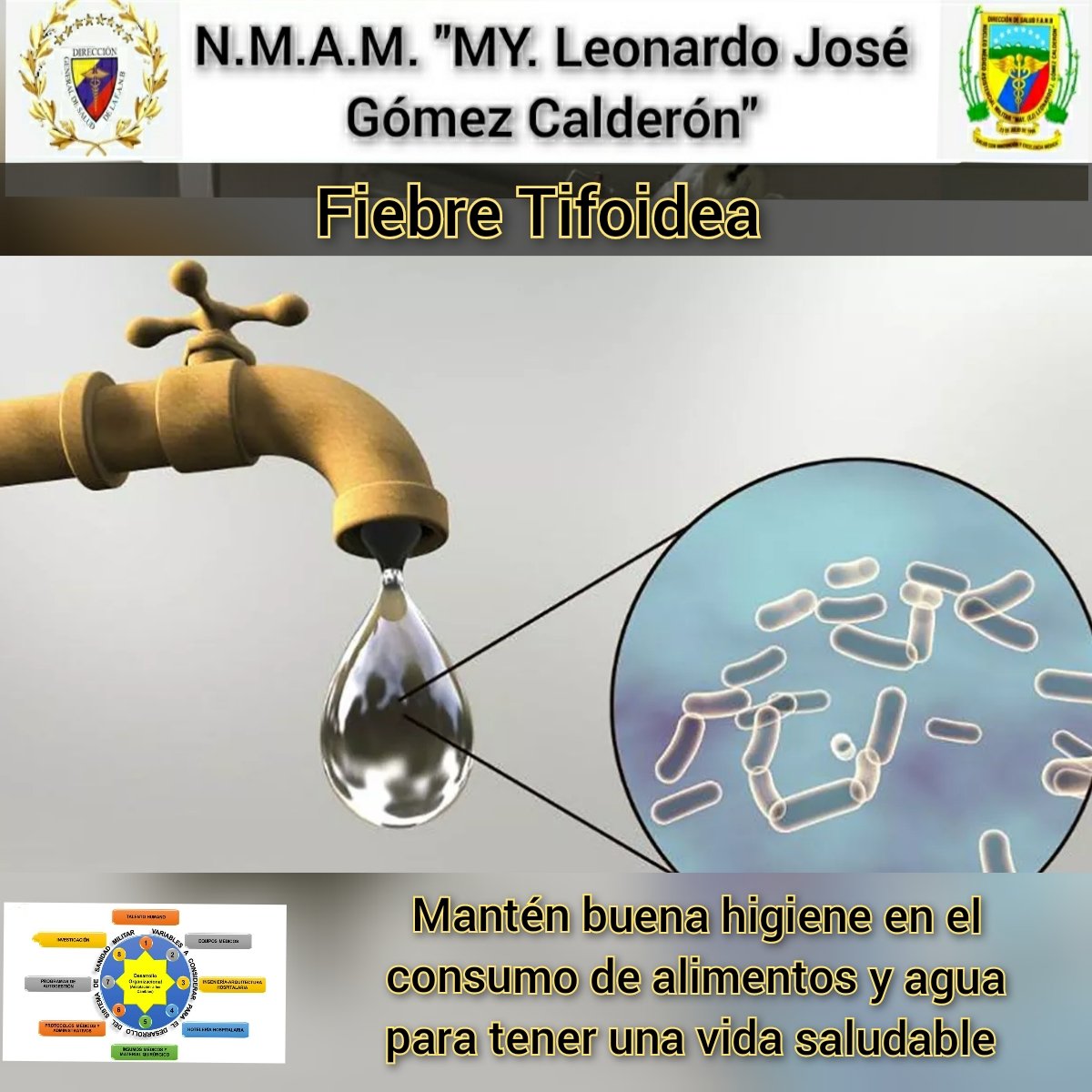 #08Nov || #Enterate || La Salmonella typhi es una bacteria que se propaga a través de alimentos, agua o bebidas contaminadas, al consumirlos causa fiebre Tifoidea.
#CuidaTuSalud
#SoyNMAMMVamosPorMas
<a href="/DigesaludFANB/">DIGESALUDFANB</a>
<a href="/junior180570/">Pablo Beltrán Pérez Villamizar</a>