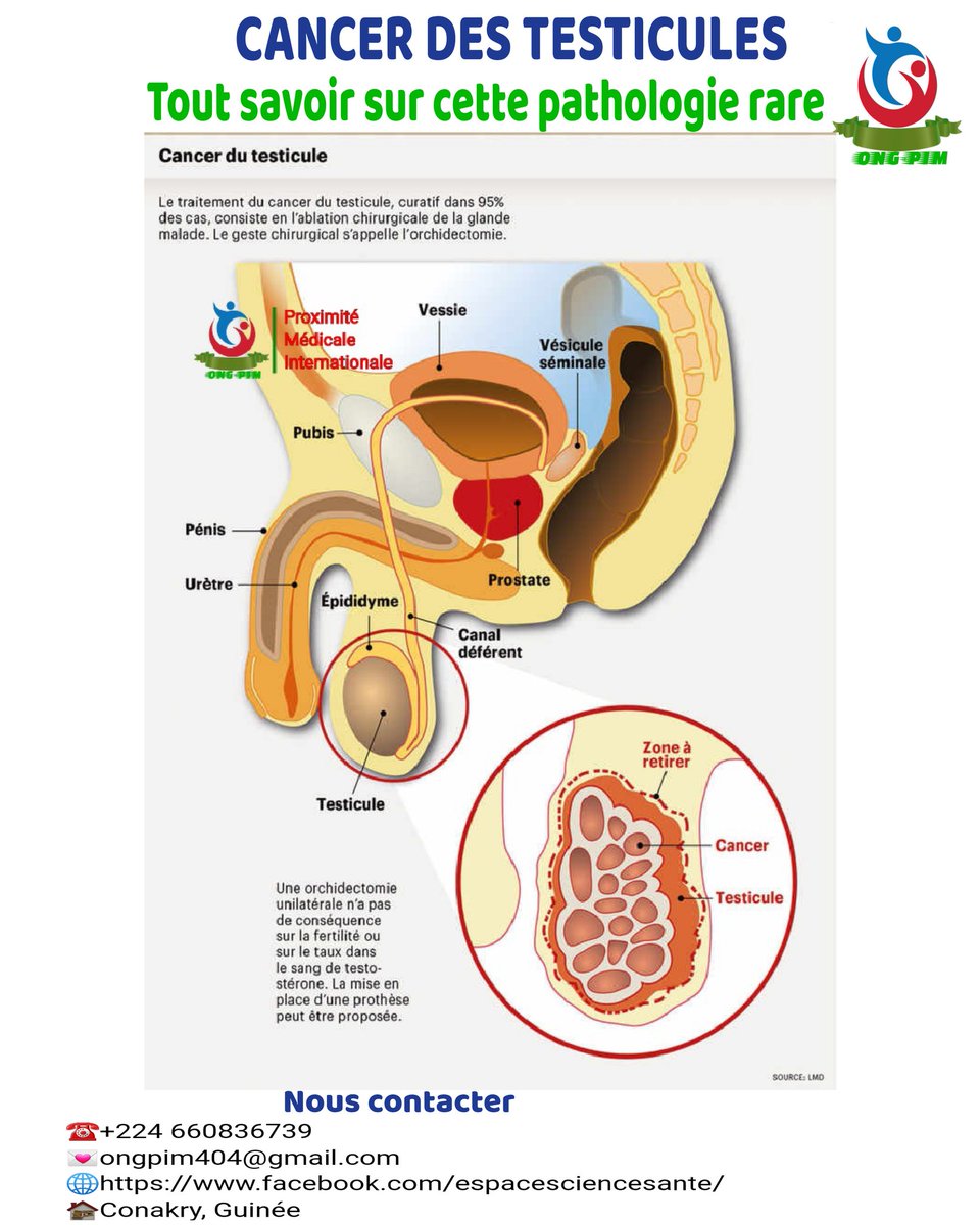 Les détails sur 👉 facebook.com/espacesciences…

#ÉducationThérapeutique 
#Pharmacie
#Médicaments
#science 
#medical 
#santé 
#viral 
#bio