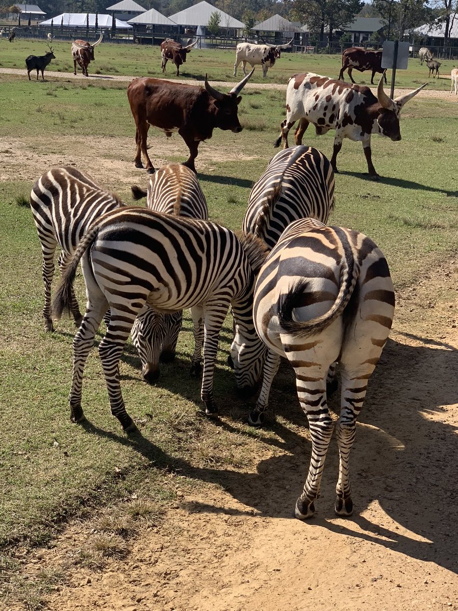 Global Wildlife with Carson and Mia. Its a good day😊😊