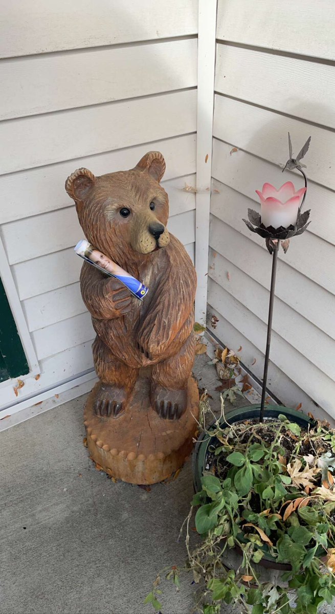 Happy Election Day! Let’s @FlipMNSenate and elect @kariformn