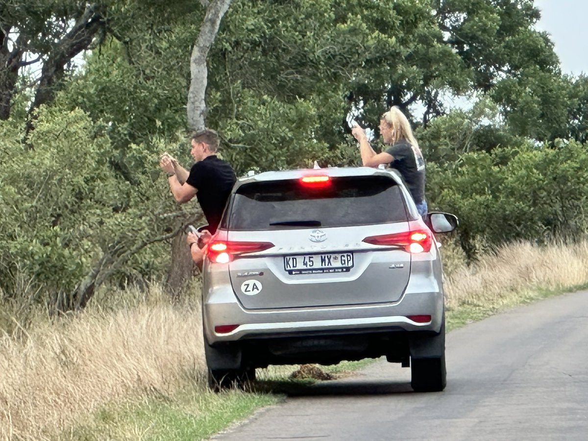ChrisWapping's tweet image. What can be done @SANParksKNP about visitor behaviour? These people successfully managed to chase off the lion they (and we) were trying to see. Second such incident today! Breaking outline of vehicle and LOUD EXCITED TALKING sent lions running, ruining sighting for everyone.