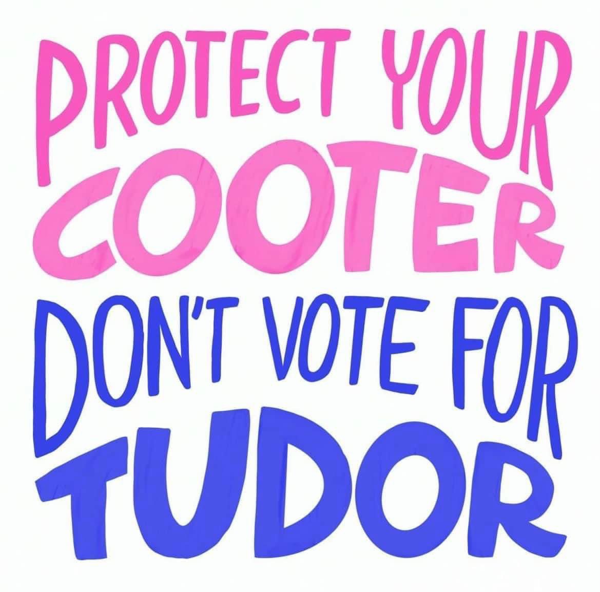 SpookyCy's tweet photo. Fuck Tudor Dixon 😁🖕🏼 https://t.co/elJ1eOf0FF
