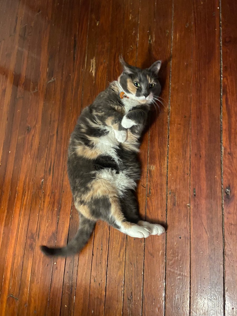 Please go vote! It’s not enough but it’s still a part of what we need to do!