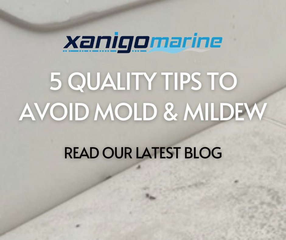 Mold and mildew can cause severe damage to your boat. Fortunately, you can do a few things to prevent mold and mildew from taking over your boat.

Read about them here: xanigomarine.com/blog-5-quality…

#boating #boatlife #boatingblogs #avidboater #boatingtips #boatowner #boatinghacks