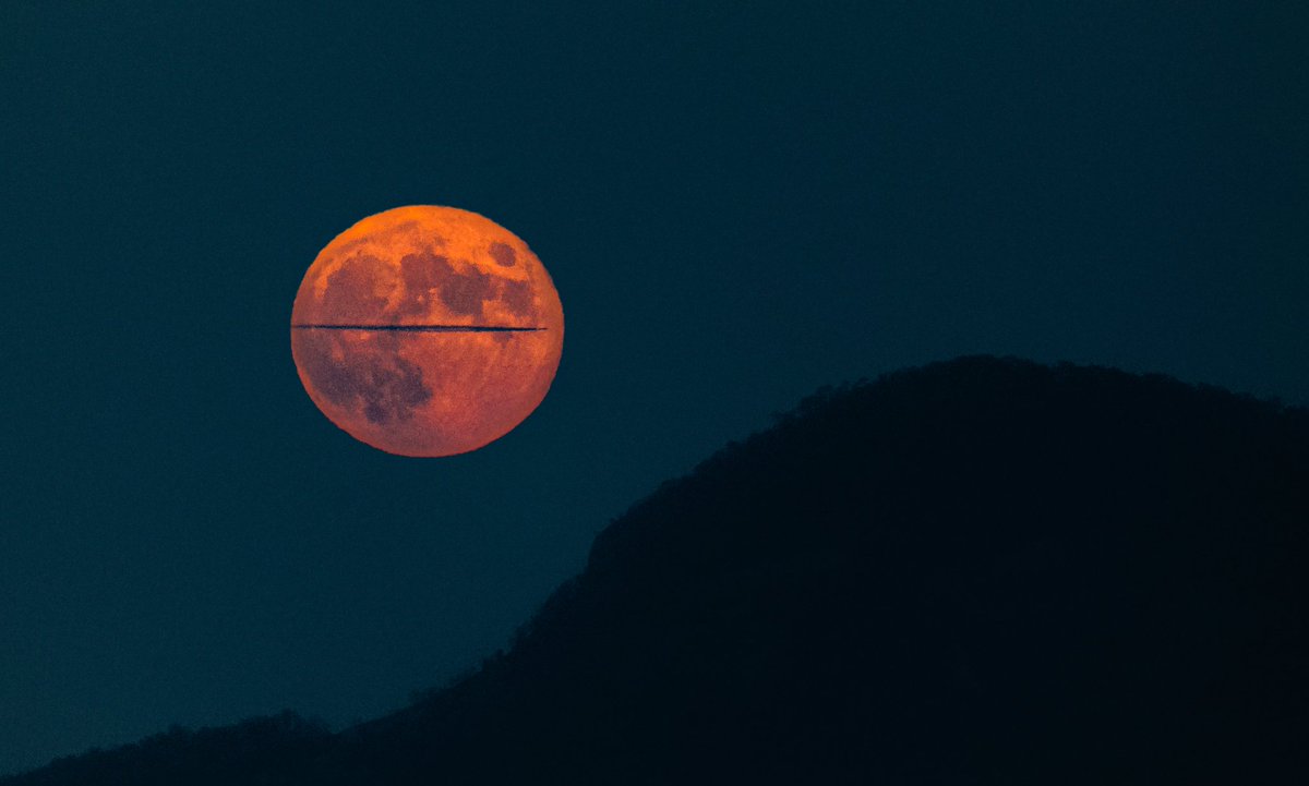 BobbySolace's tweet image. lunar airlines