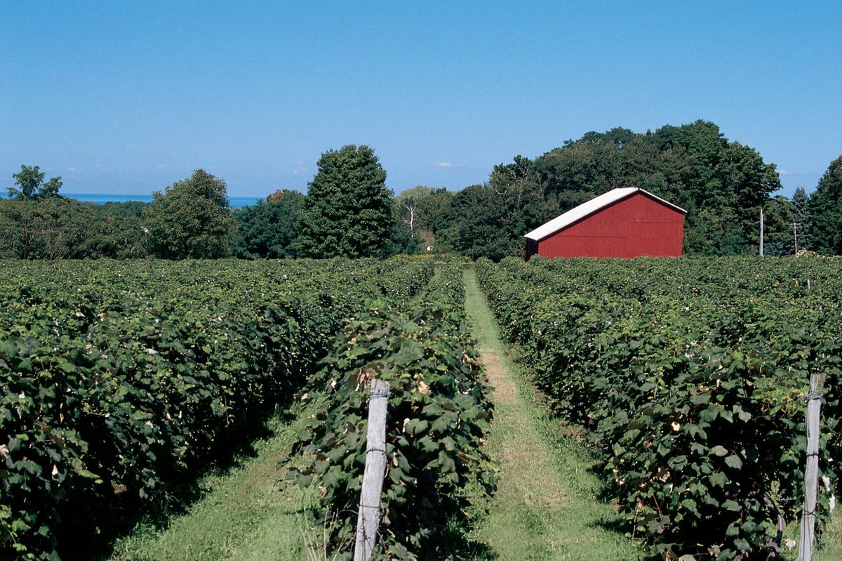 PlanChautauqua's tweet photo. #CHQAgForum will feature a breakout session with Kevin Martin on legal resiliency. Farms are legal entities and organizing operative agreements and legal entities to reflect the goals and value of your organization can be a challenge.
https://t.co/4SPZgj58Yj
#AGinCHQ #FarmCHQ https://t.co/13786saVPS