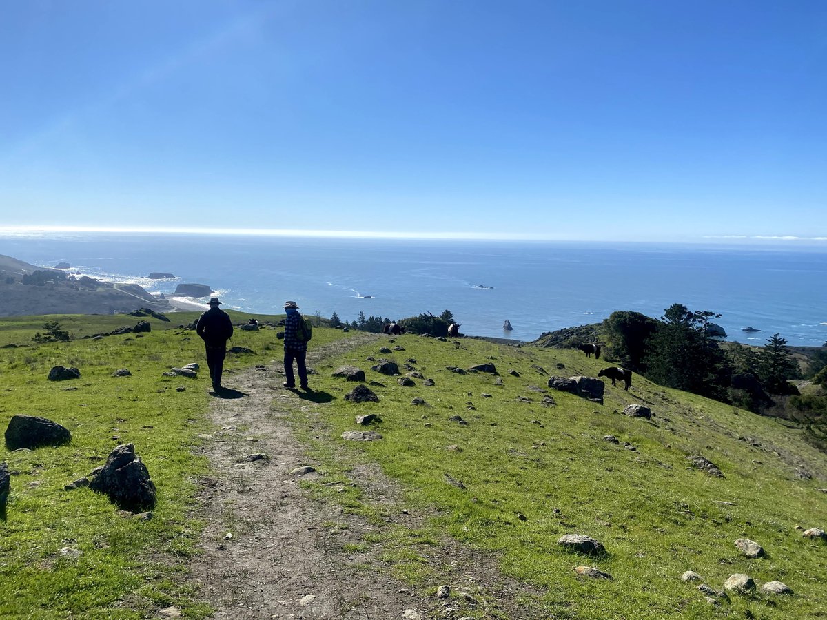 sonomaopenspace's tweet image. We have two Stewardship Technician positions open! Our stewardship techs monitor our 240+ conservation easements, work with easement landowners, create maps and more. The first screening of applications is November 21st! To learn more and apply: campsite.bio/sonomaopenspace