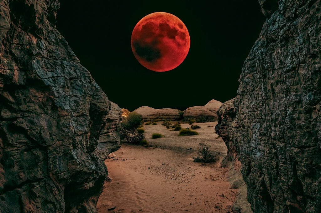 Abdallahashnb's tweet photo. بما انه اليوم يوم خسوف القمر ولكن مش حيبان في ليبيا جبتلكم خسوف القمر في ليبيا سنة 2018-2019 
من تصويري استعملت اسلوب دمج الصور علشان نطلع بالنتيجة هذه وفعلا صورت كل مراحل الخسوف ودمجتهن في صورة وحدة 🌑🌕
.
أعطوني رأيكم في صور 🔥
.
#libya #Eclipse https://t.co/FCFNVEuQ0I