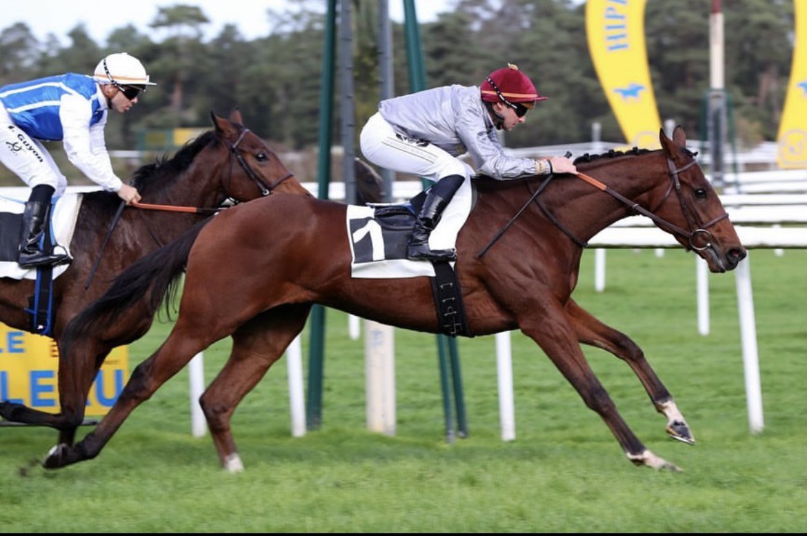 ObryJockey's tweet photo. @pasquito60 et Bennetot s’impose aujourd’hui sur l’hippodrome de Fontainebleau.
Félicitations à son entraîneur Mr Édouard Monfort et ses propriétaires @AlShaqabRacing 
@SandraBiloe https://t.co/dsX6AFABWW