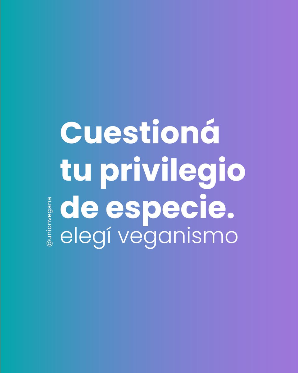 unionvegana's tweet photo. 🐮¿Qué pasa cuando NO perteneces a la especie humana? 

🐖 Los humanos obligamos constantemente a los demás animales a nacer, los explotamos y cuando consideramos que ya no son productivos y productivas, los mandamos al matadero. https://t.co/20aZH8h52c