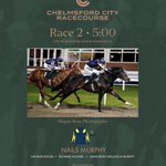 Photo by Grenane House Stud (@grenane)