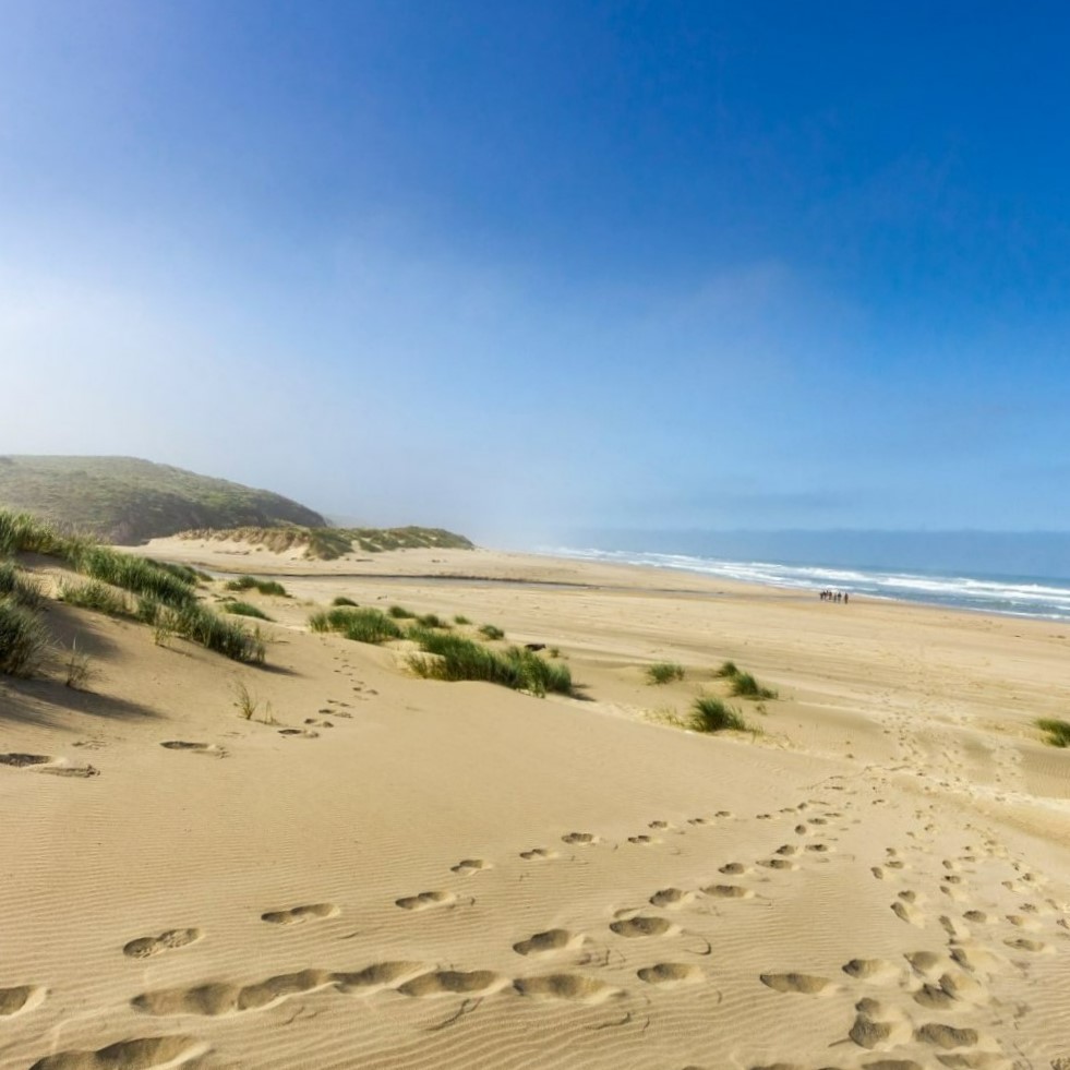 Point Reyes National Seashore Association tweet media