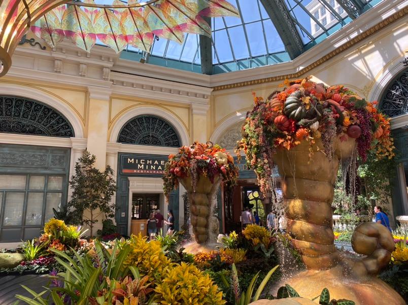 Fall arrives at Bellagio Conservatory. 
#nationalparkexpress #travelusaexpress #visitlasvegas #visitvegas #bellagio #usatravel #visitusa #travelnevada #familytravel #thingstodovegas #whywetravel