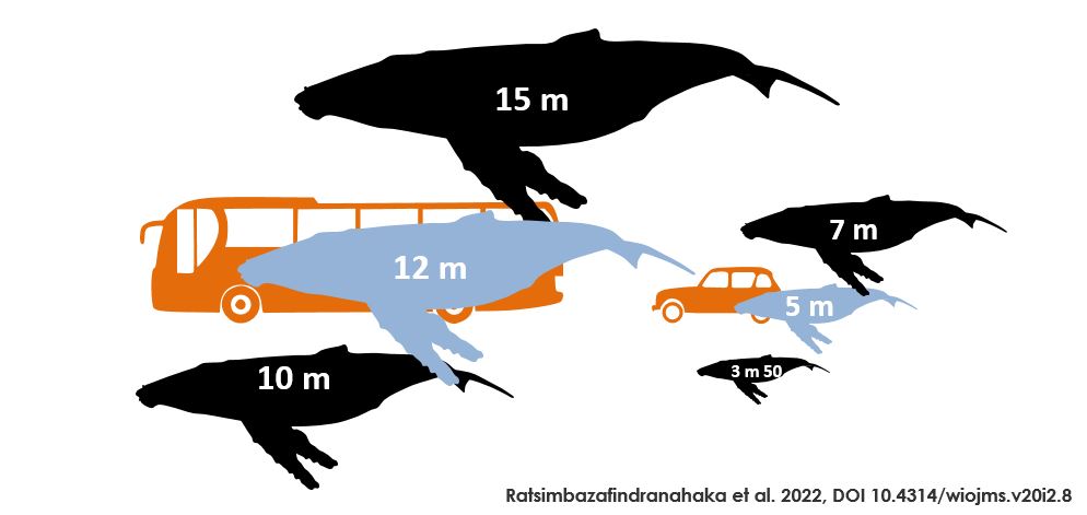Cétamada tweet media