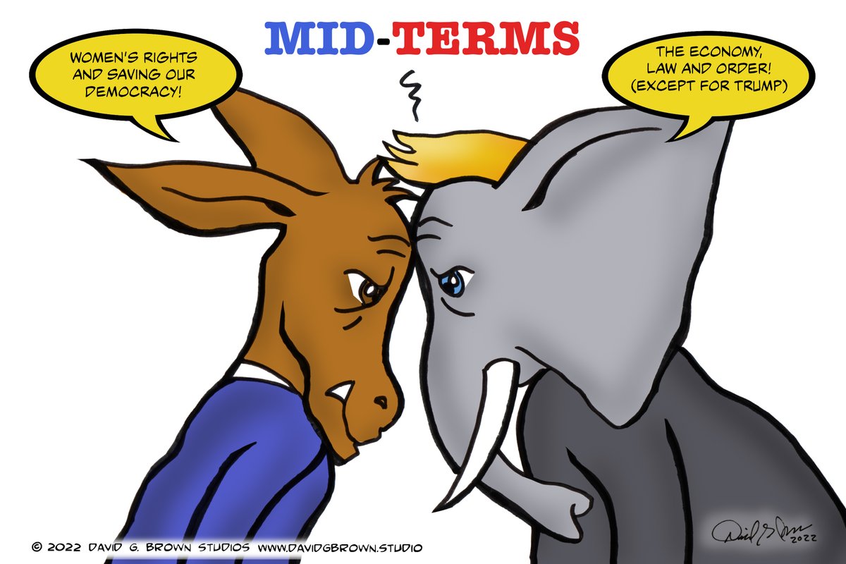 MID-TERMS Women's rights and saving our Democracy! VS The Economy, Law and Order! (except for Trump)#midterms #midtermelections #midterm #democrats #democracy #womensrightsarehumanrights #womensrights #womensrightsmovement #saveourdemocracy #maga #republicanparty #LawAndOrder