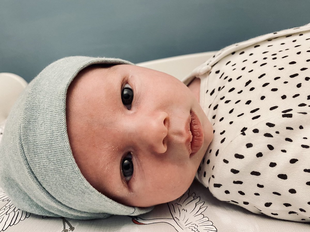 Laura Bruce tweet media