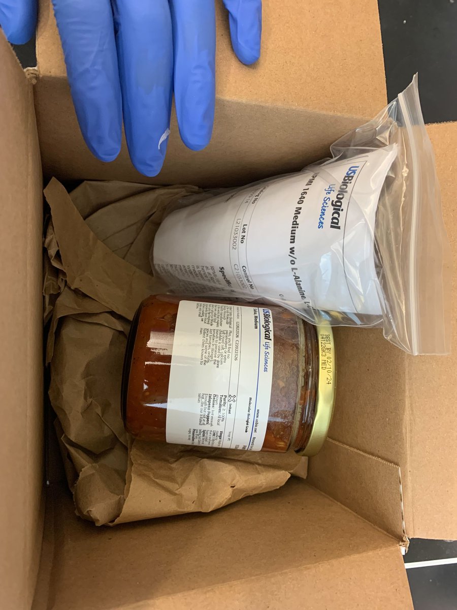 Rutter Lab tweet media