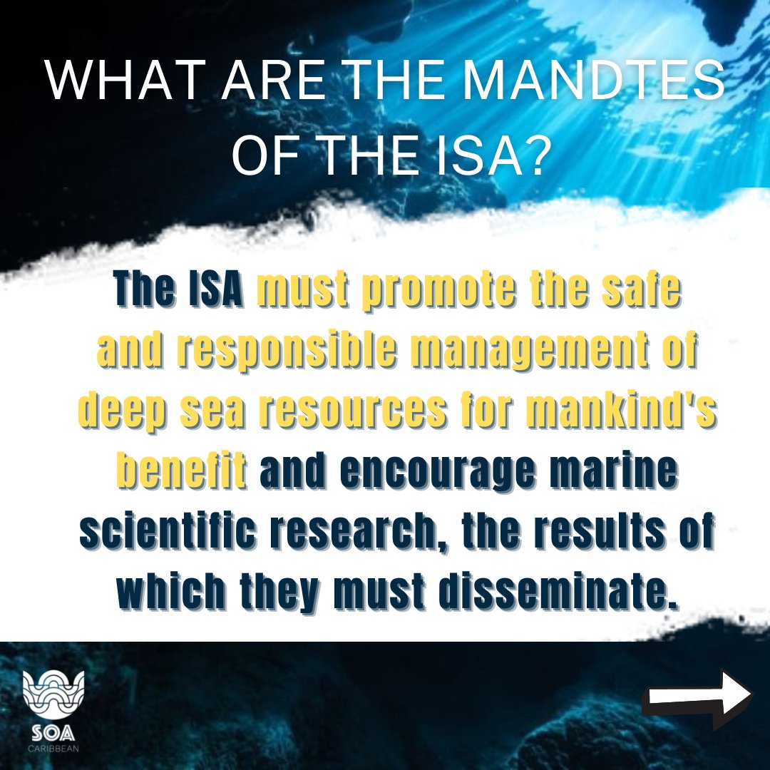 ecoseas_carib's tweet photo. We #advocate for a #precautionarypause on this potentially #damaging industry as there can be #irreversible impacts to #deepseabiodiversity and #carbonstorage.
#defendthedeep
#caribbeanyouthagainstdeepseamining
#stopdeepseamining https://t.co/qaekFBnUoj