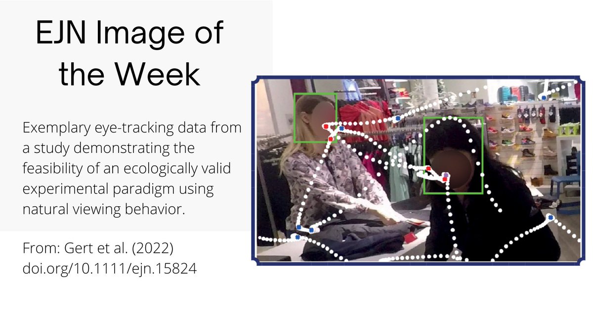 European Journal of Neuroscience (@ejneuroscience) on Twitter photo Check out the latest installment in our Image of the Week series!
From: doi.org/10.1111/ejn.15…
<a href="/FENSorg/">FENS</a>
<a href="/WileyNeuro/">Wiley Neuro</a>
<a href="/AnnaLisaGert/">Anna L. Gert</a>
<a href="/konigpeter/">Peter König</a>
<a href="/CompCognition/">Computational Cognition</a> Check out the latest installment in our Image of the Week series!
From: doi.org/10.1111/ejn.15…
<a href="/FENSorg/">FENS</a>
<a href="/WileyNeuro/">Wiley Neuro</a>
<a href="/AnnaLisaGert/">Anna L. Gert</a>
<a href="/konigpeter/">Peter König</a>
<a href="/CompCognition/">Computational Cognition</a>