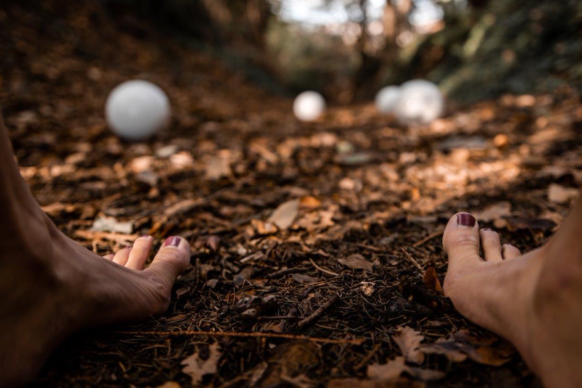 Tohu Bohu à Latitude 50 ce vendredi 11 novembre dans le cadre de la Nuit du Cirque.
25 étudiants de nos écoles supérieures artistiques présentent le résultat de 15 jours de résidence collective. Carton-Pâte clôturera cette soirée.
C'est gratuit > bit.ly/3FMO3cq
