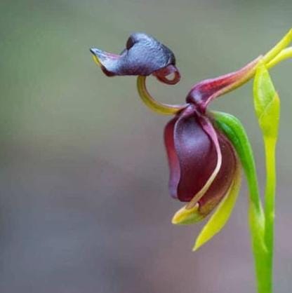 Мы столько ждали победы, наконец достигли того, чего ждали всё это время! Карабах, ты всегда был наш!
#Zəfərqorumaqlayaşadılır 
#Zəfərfədakarlıqlaqazanılır
#Zəfərinamdanbaşlayır #Victoryday #Shusha #Armenians
#KarabakhisAzerbaijan
 #ZəfərGünü  #Trustinvictory #Russian
