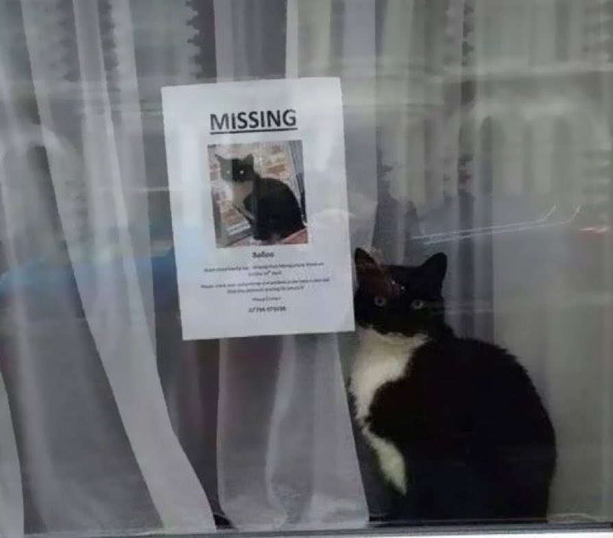 Da Thankful Queendom tweet media