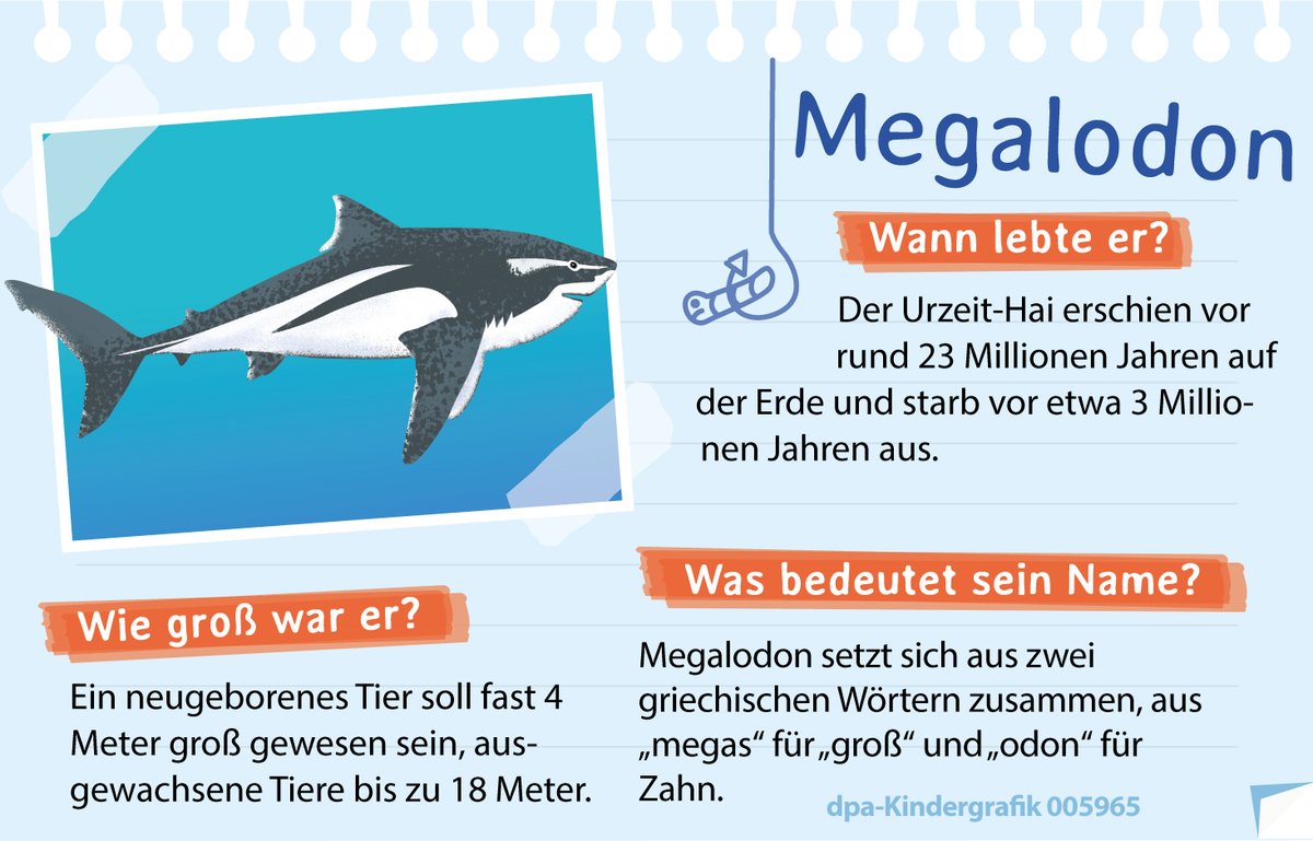 Dem Megalodon will man beim Tauchen eher nicht begegnen. Geht auch nicht: Er ist ausgestorben. Weitere Fakten zum Riesenhai nennt die <a href="/dpa_infografik/">dpa-infografik</a>