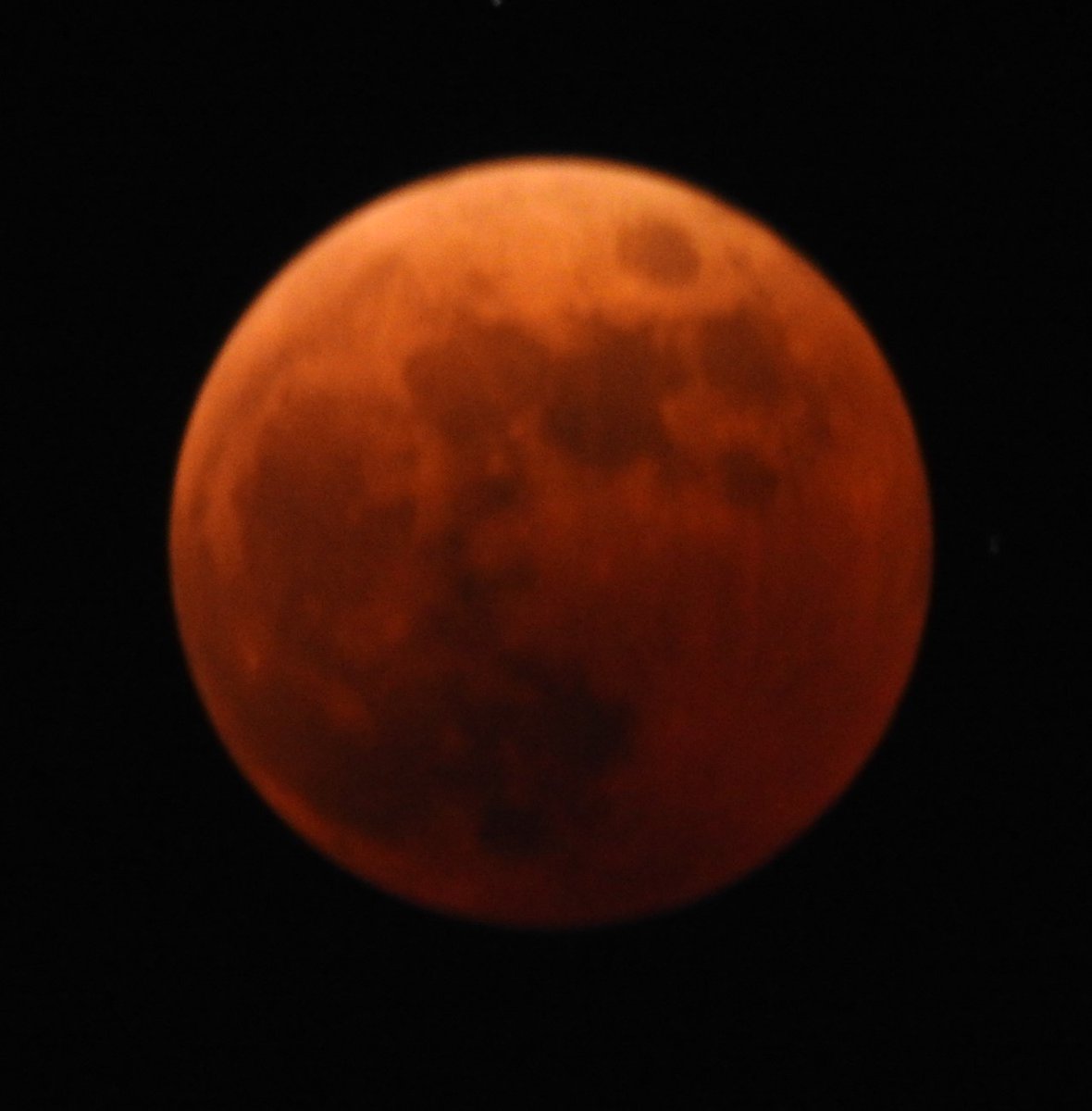 杉原 杏璃 on Twitter: 綺麗〜👏