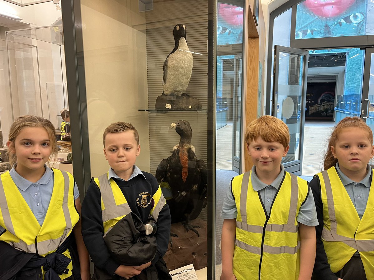 Mrs Johnson tweet media