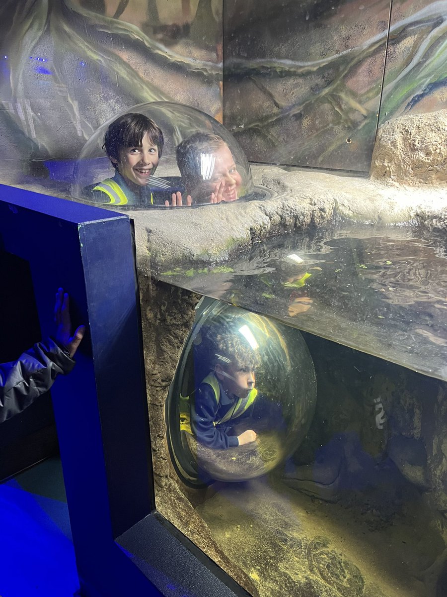 Mrs Johnson tweet media