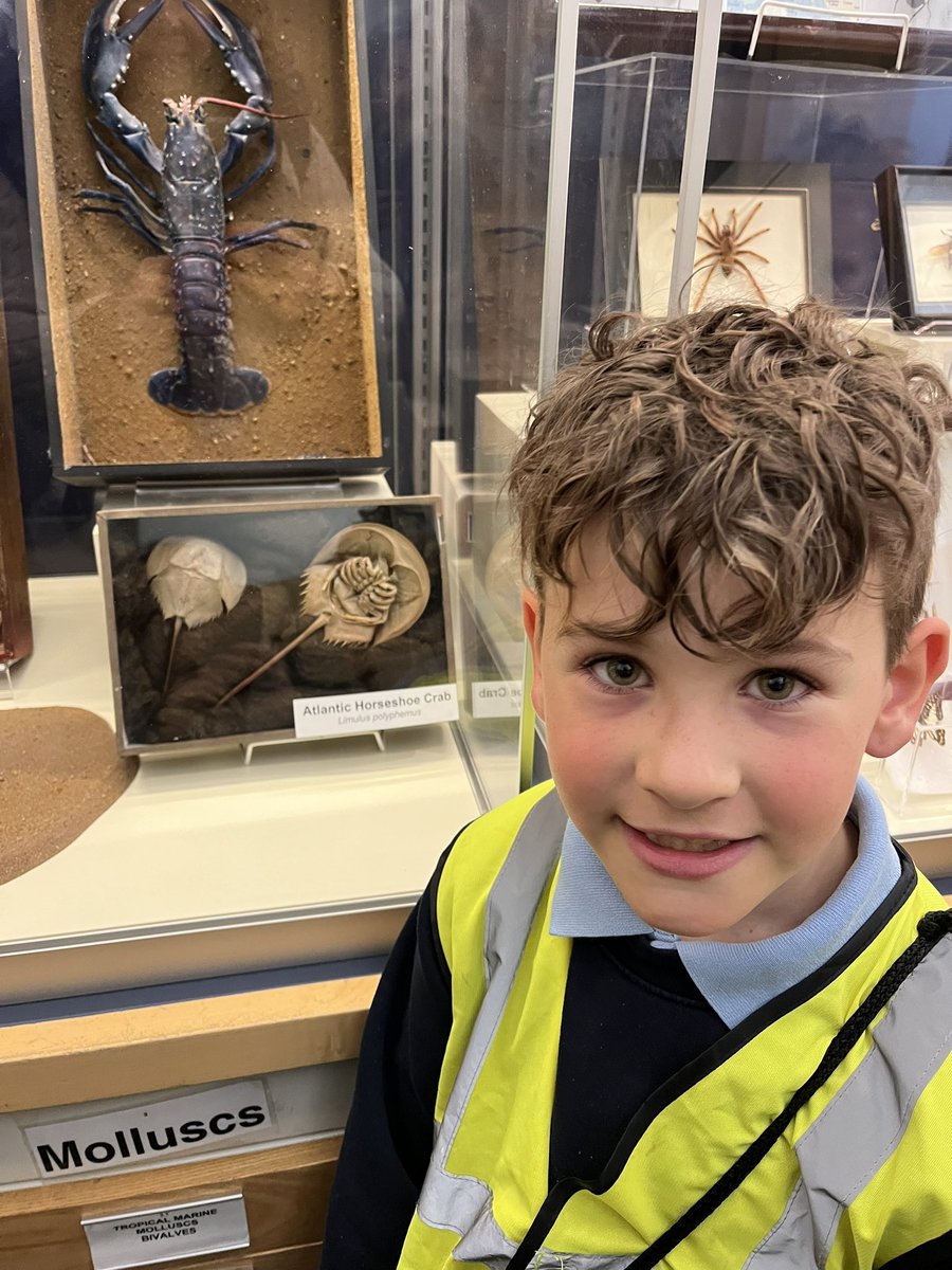 Mrs Johnson tweet media