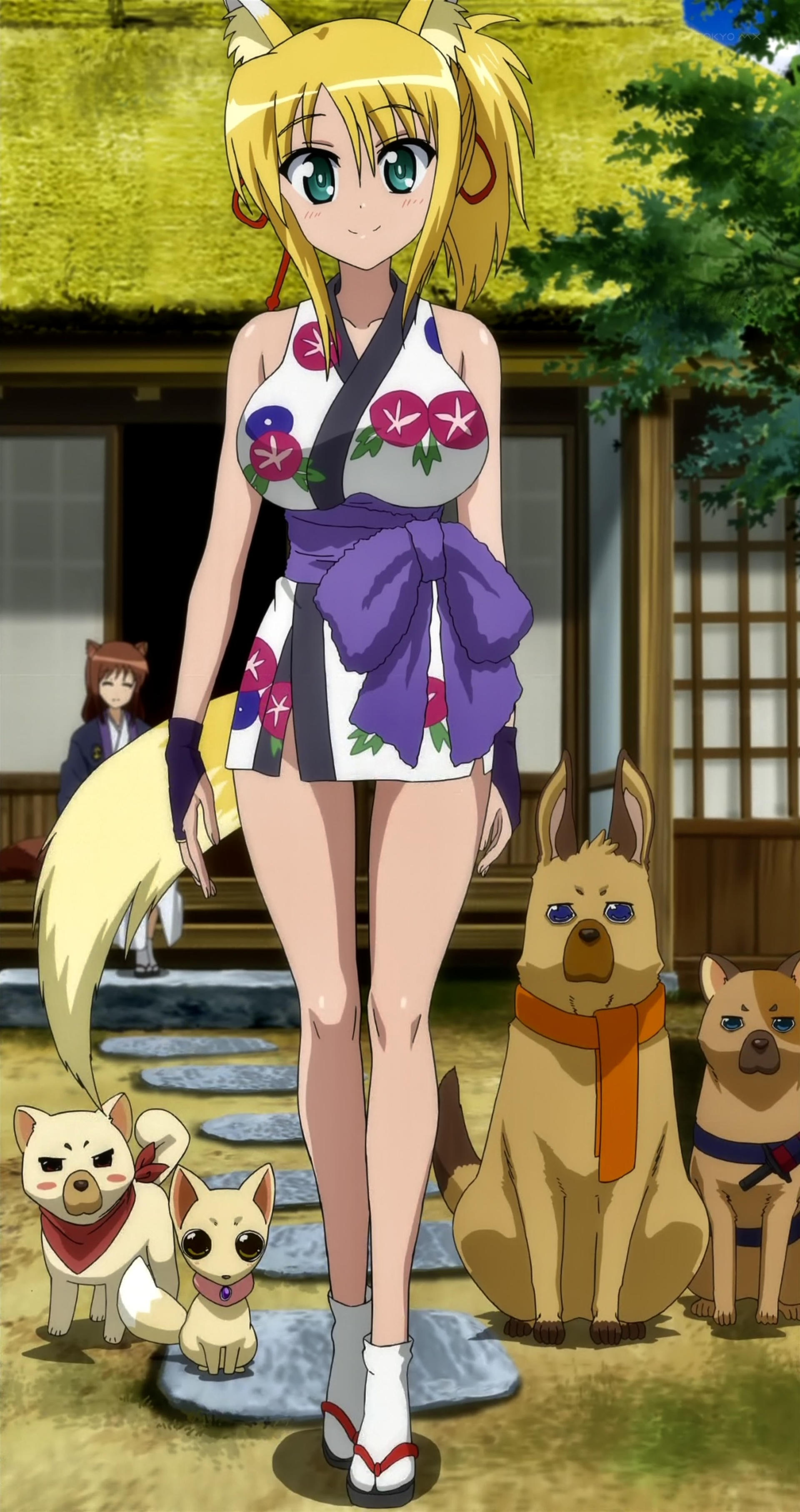 Waifu Tower on X: Yukikaze Panettone (Part 2) Anime: Dog Days