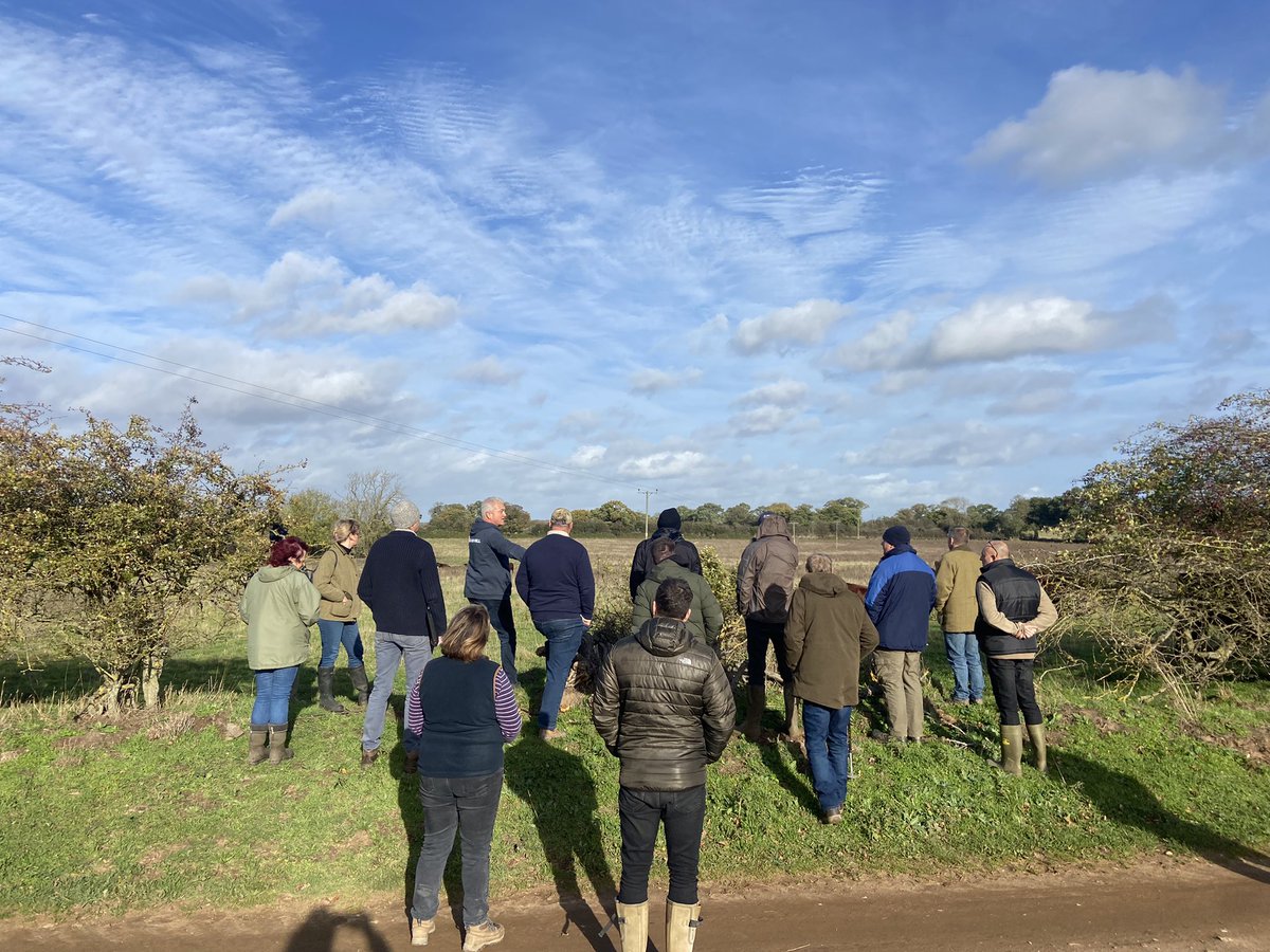 Norfolk County Council Farms tweet media