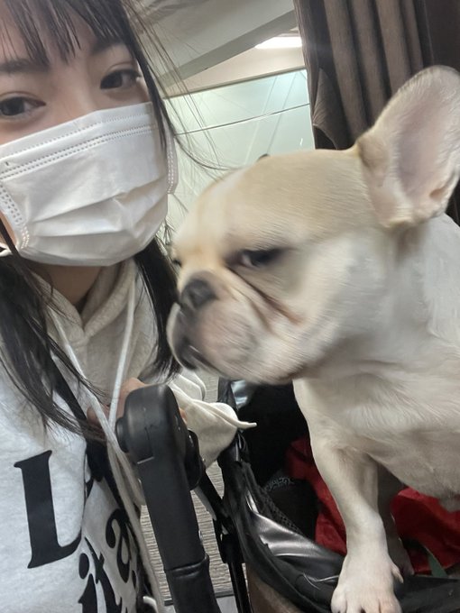 Twitterのコスプレ画像2