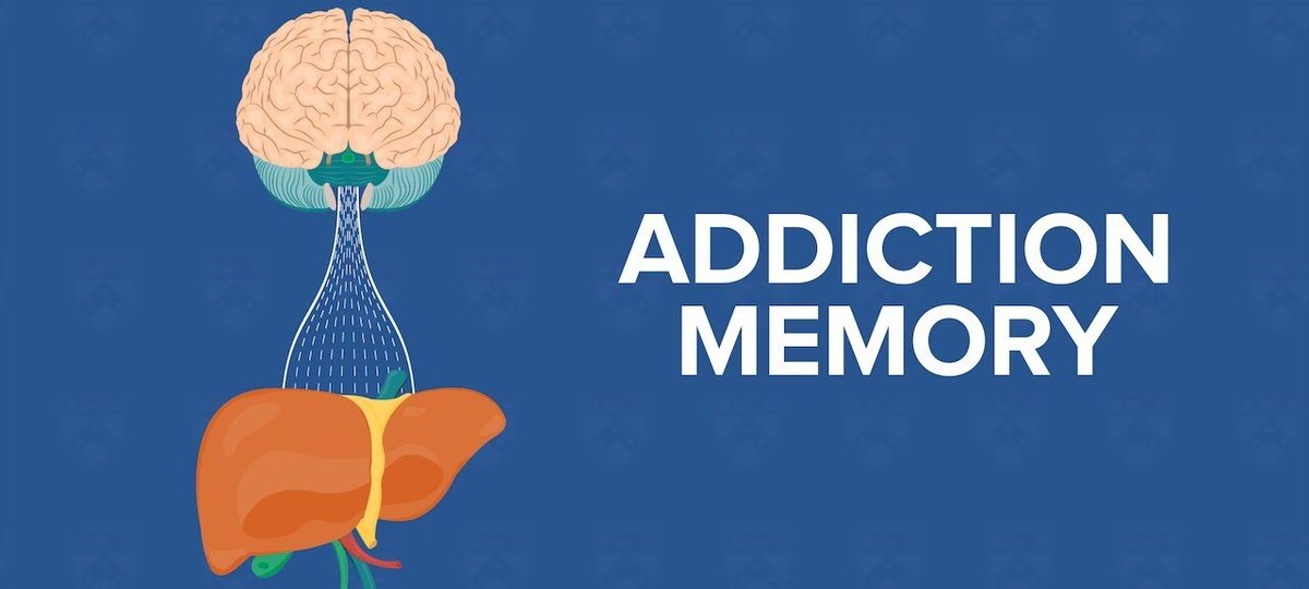 HYPER MEMORIES AKA ADDICTION MEMORIES If you have a PORN, ALCOHOL, WEED, TOBACCO or any dopamine abuse problem, This thread will tell you how your memories are making you relapse and how to fight it $1000+ value masterclass ; 🧵