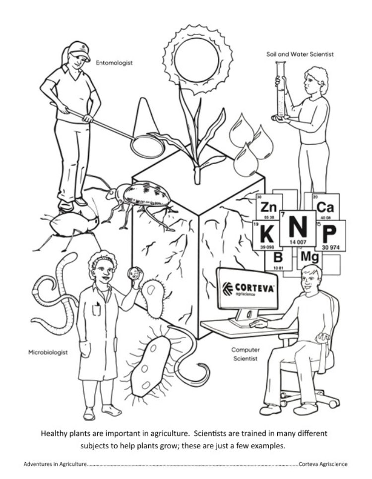 InsectDoc's tweet photo. Happy #NationalSTEMDay! Weโre pleased to offer this #activitybook for download
English: https://t.co/dmdI9Fgkxg
Spanish: https://t.co/4B8JNJmPOL
Portuguese: https://t.co/MiwBUYSCAt
Let me know what you think
#inclusion #network #WomeninSTEM #WomeninAg #CortevaGrows #STEM https://t.co/33f2gDaojW