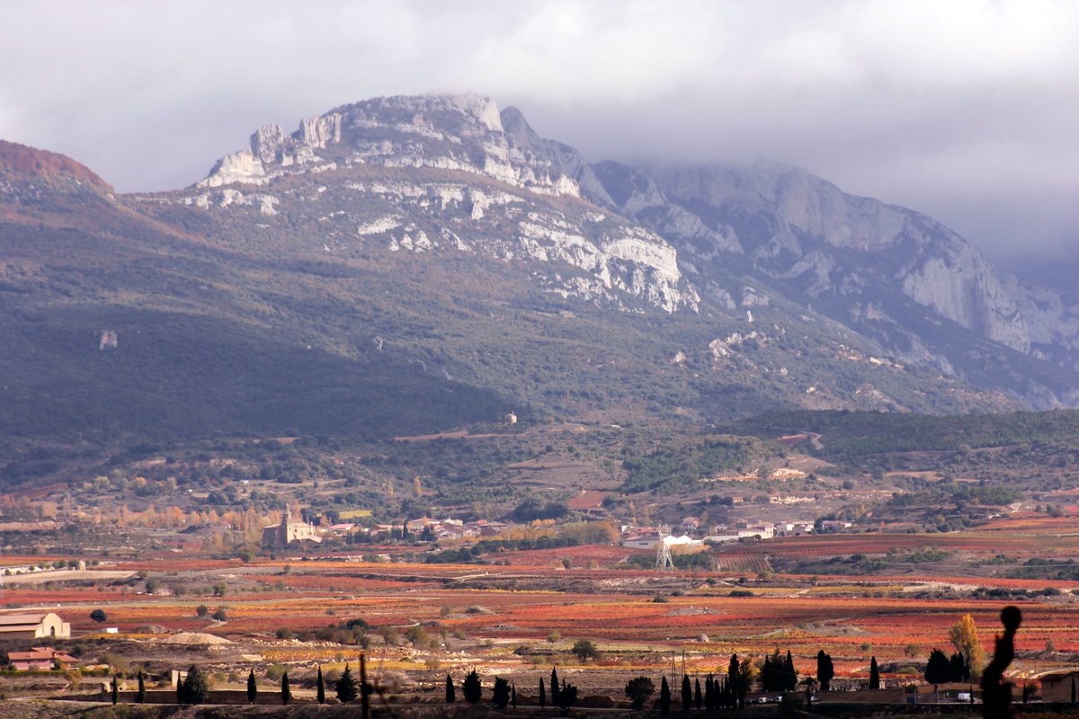 La Rioja en otoño es un auténtico espectáculo.

¿Te animas a venir?🍷🤗

#BodegaSanCebrin #labrandounfuturojuntos
