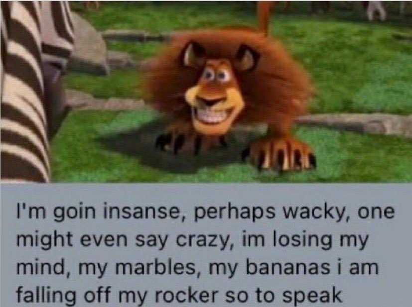 Lynx🍊(COMS OPEN!) (@lynx_peachy) on Twitter photo 