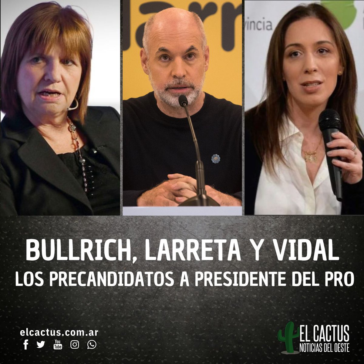El Cactus Noticias tweet media
