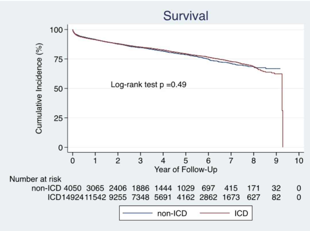 Rodrigo Zoni tweet media