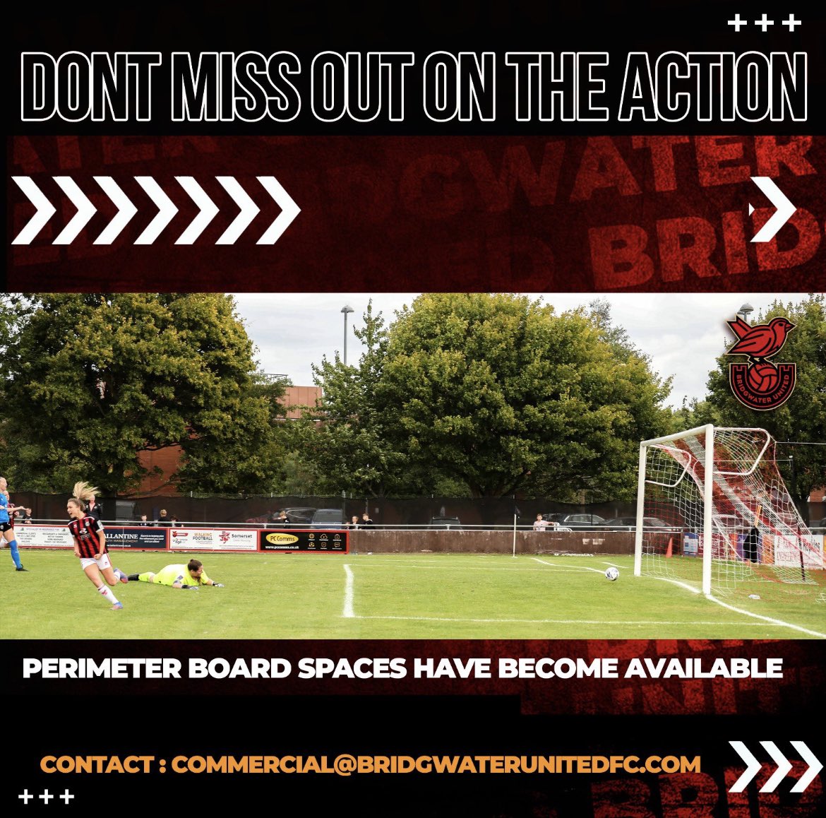 BridgwaterUtd's tweet image. 🫵 | Some board places have become available! 
If interested please get in contact through commercial@bridgwaterunitedfc.com 

#WeAreUnited