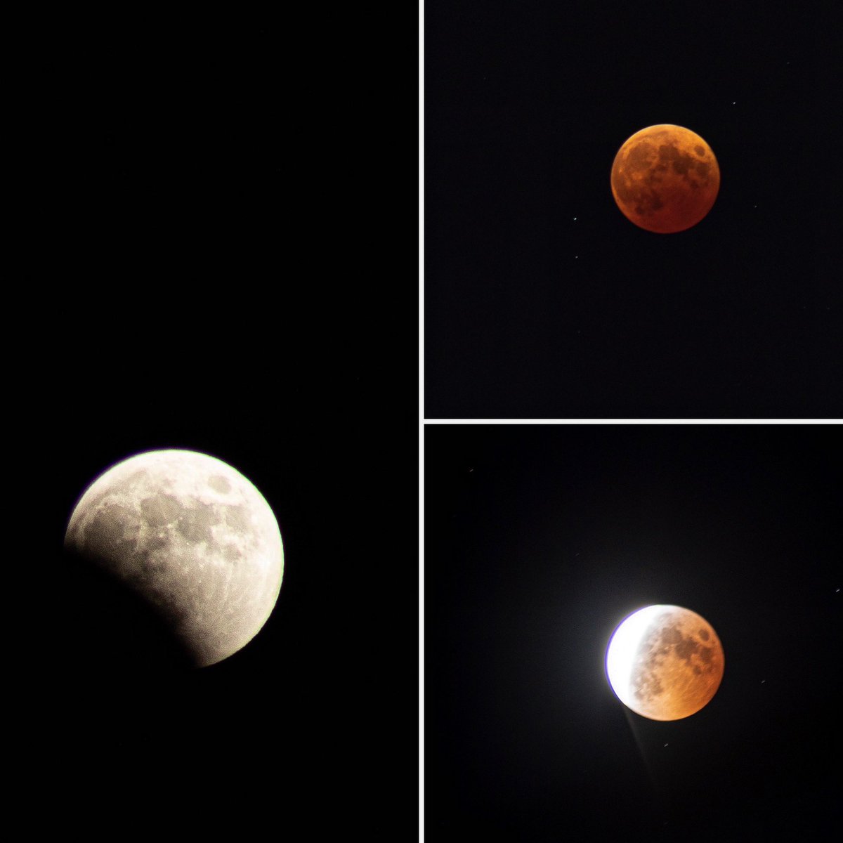 colin8710's tweet photo. The Beaver Blood Moon Lunar Eclipse 🌝 It’s the second blood moon this year.
But this time, the earth, the moon, and Uranus have aligned after 442 years since the last time. 
Aren’t we all lucky to have been born to witness this beauty?✨
View from Osaka, Japan https://t.co/nzYJTWVSkd