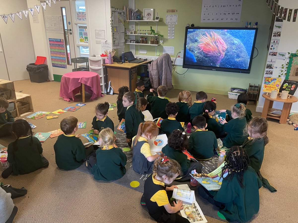 firsprimarysale's tweet photo. #RecASH #RecELM
We love reading for pleasure time! #readingforpleasure https://t.co/5rjpcccNHs