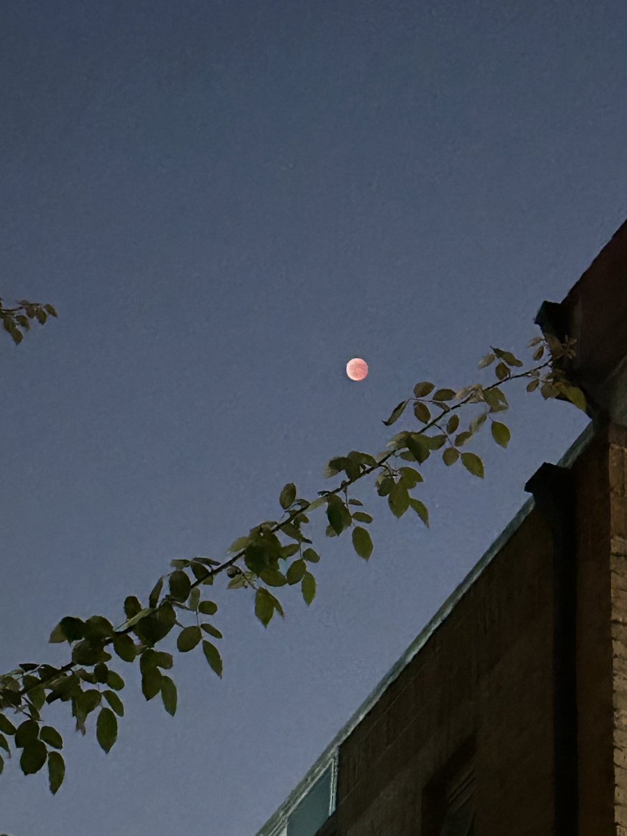 오늘 붉은달.. 보셨나요?
길지 않은 시간에 마사지 하기로..
그런데 미리 약속 못해요.ㅠ

딱 "지금"
이렇게 얘기를 하면 30분 내로 도착할수 있을까요?