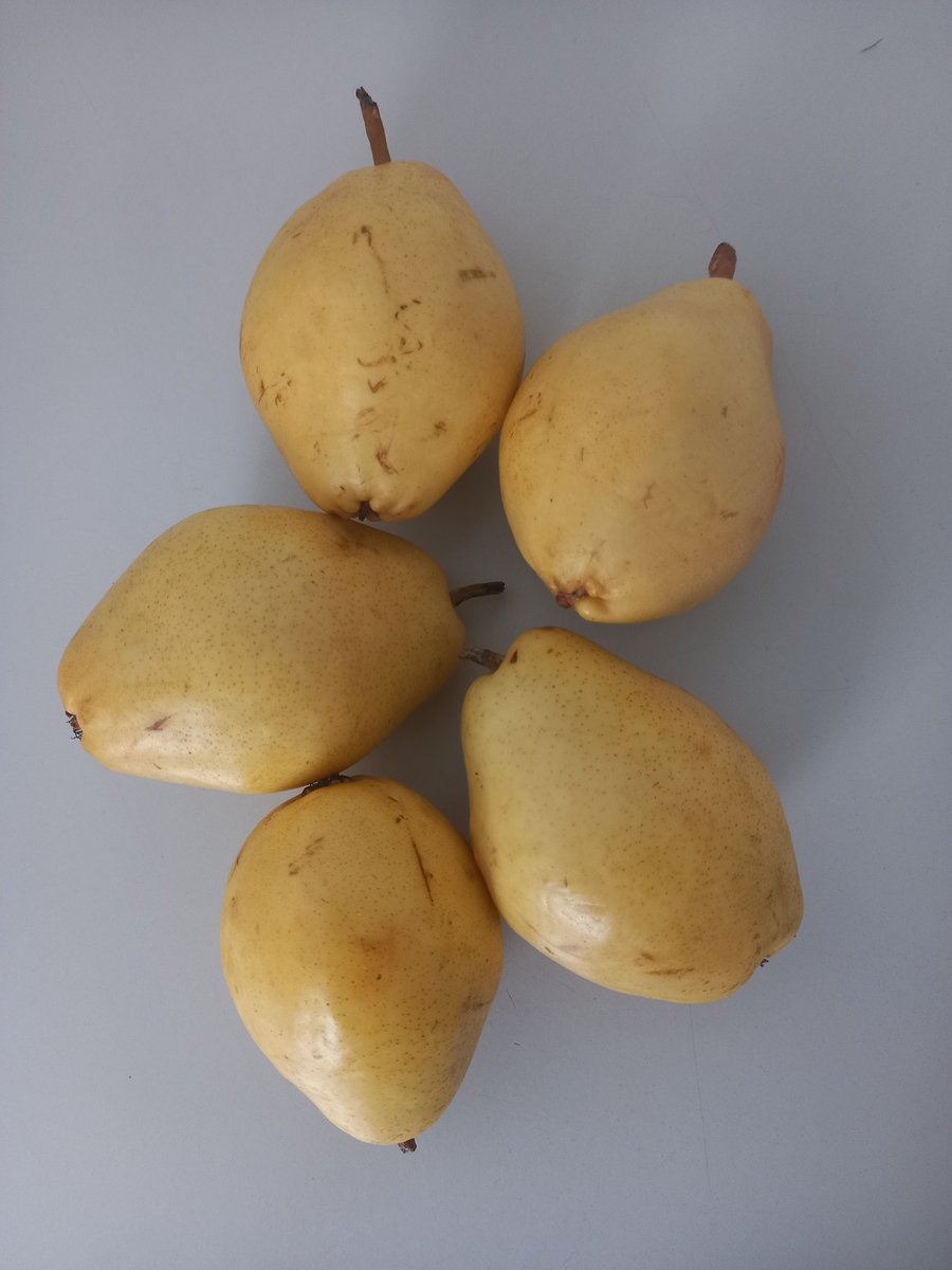 Kenzi_elodie888's tweet photo. #healthyishappiness Since I reconnected to my body,to its desires,to its needs,i ve been metamorphosed.selflove is the key to many blessings.this morning I was chewing these pears😋🤤You are the best people to love and cherish you @RealMommyTokyo day5 @Yogapetz @Kakarot_F23 #YGPZ https://t.co/VZcnfyJmER