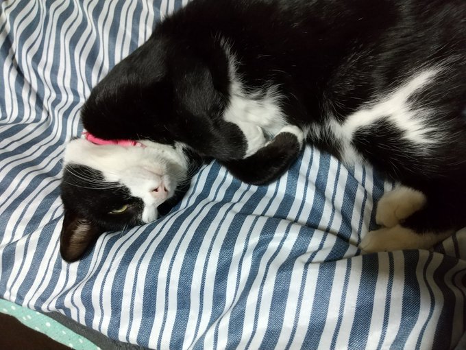 一緒に観てる。 